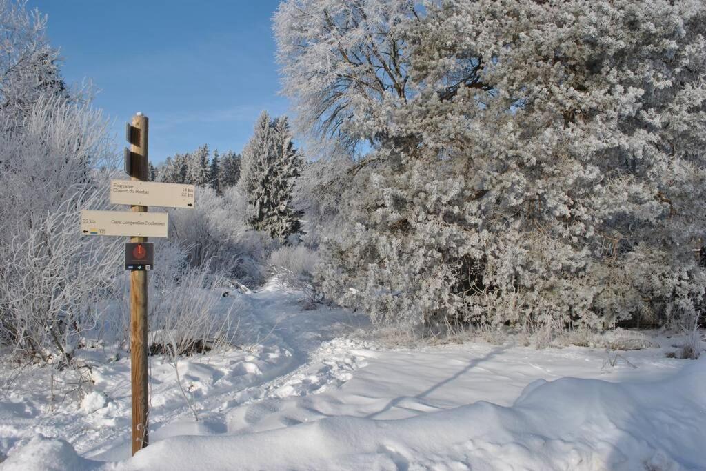 Gite Du Fourperet-Parc Naturel Du Haut-Jura Longevilles-Mont-d'Or ภายนอก รูปภาพ