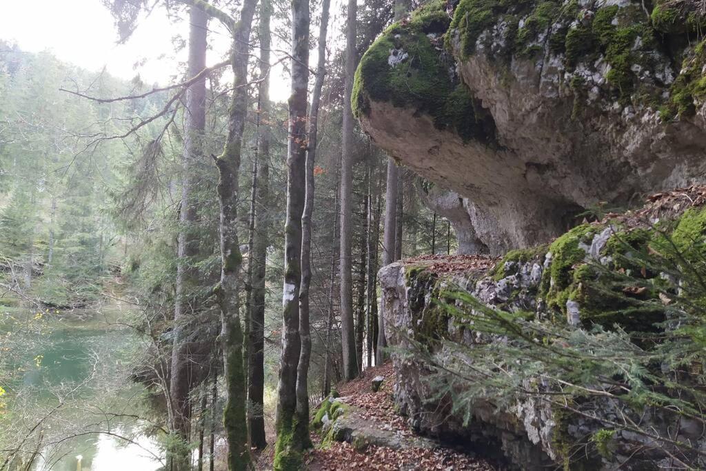 Gite Du Fourperet-Parc Naturel Du Haut-Jura Longevilles-Mont-d'Or ภายนอก รูปภาพ